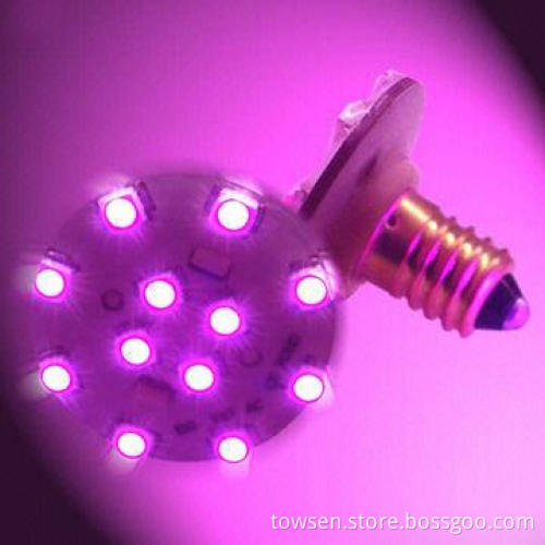 Amusement Park Rides 24V/LED Christmas Lights